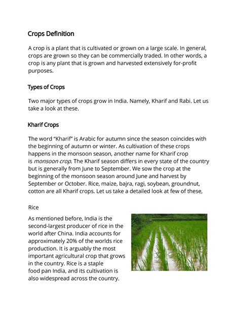 crops traduction|crop meaning in english.